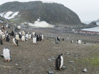 P1010375  De eerste landing op het Antarctisch schiereiland