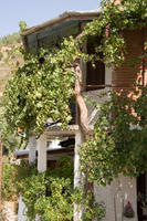 Cyprus, Foini Cyprus, Foini