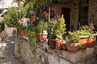 Cyprus, Foini Cyprus, Foini
