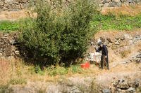 Cyprus, Bij het Trooditissa klooster Cyprus, Bij het Trooditissa klooster