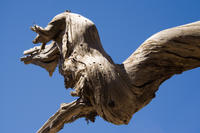 Cyprus, Nog steeds het Artemis trail Cyprus, Nog steeds het Artemis trail