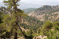 Cyprus, Nog steeds het Artemis trail Cyprus, Nog steeds het Artemis trail