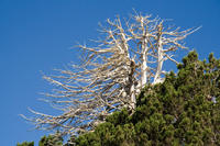Cyprus, Artemis trail Cyprus, Artemis trail