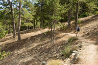 Cyprus, Persephone wandeling bij Troodos Cyprus, Persephone wandeling bij Troodos