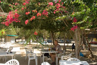Cyprus, Kourion, bij restaurant Cyprus, Kourion, bij restaurant
