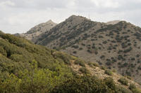 Cyprus, Madari ridge trail, 1e etappe. Brandpost in de verte Cyprus, Madari ridge trail, 1e etappe. Brandpost in de verte