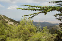 Cyprus, Madari ridge trail, 1e etappe. Cyprus, Madari ridge trail, 1e etappe.