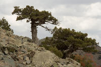 Cyprus, Madari ridge trail, 1e etappe. Cyprus, Madari ridge trail, 1e etappe.
