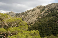 Cyprus, Madari ridge trail, 2de etappe. Met brandpost en picknickbankje in de verte. Cyprus, Madari ridge trail, 2de etappe. Met brandpost en picknickbankje in de verte.