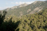 Cyprus, Madari ridge trail, 4de etappe. Ook nog de brandpost in de verte te zien. Cyprus, Madari ridge trail, 4de etappe. Ook nog de brandpost in de verte te zien.