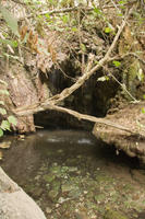 Cyprus, Bad van Aphrodite