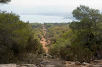 Cyprus, Aphrodite-trail uitzicht op de brandgang