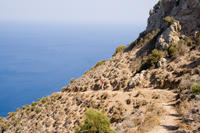 Cyprus, Aphrodite-trail