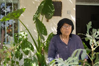 Cyprus, Drouseia