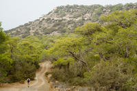 Cyprus, Wandeling Smigies bij Neo Chorio Cyprus, Wandeling Smigies bij Neo Chorio