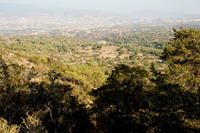 Cyprus, Wandeling Smigies bij Neo Chorio Cyprus, Wandeling Smigies bij Neo Chorio
