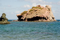 Cyprus, Snorkelen tegenover Baden van Aphrodite Cyprus, Snorkelen tegenover Baden van Aphrodite
