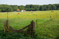 3946.jpg Santpoort-N bij de manege
