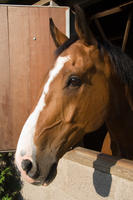 3951.jpg Nogmaals Manege in Santpoort-N
