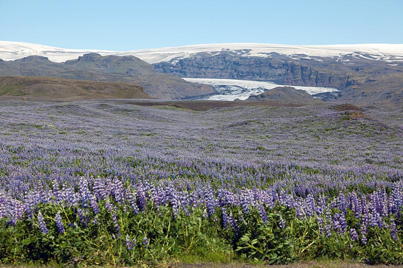 Myrdalsjokull