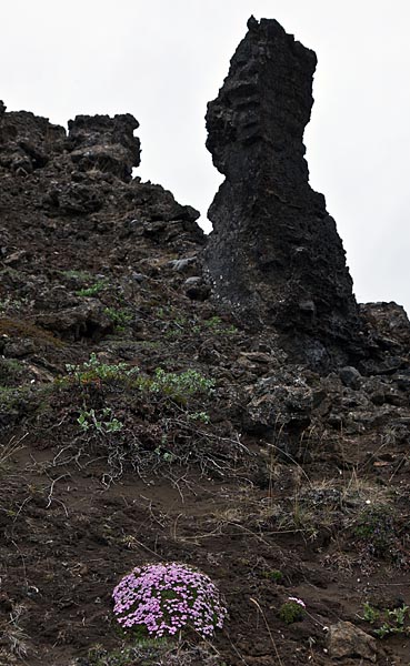 Dimmuborgir