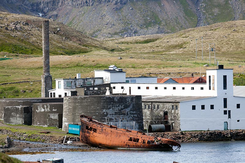 Djupavik