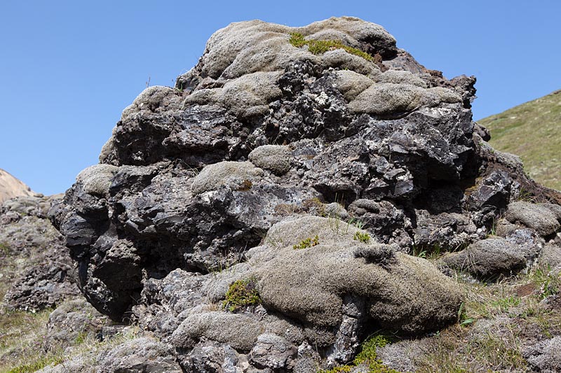 mossen op lava