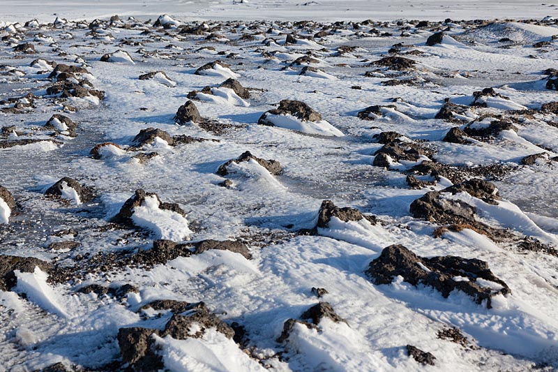Winters IJsland, besneeuwde lava