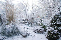 1983.jpg De tuin vanuit de woonkamer
