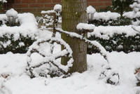 2017.jpg bij iemand in de tuin
