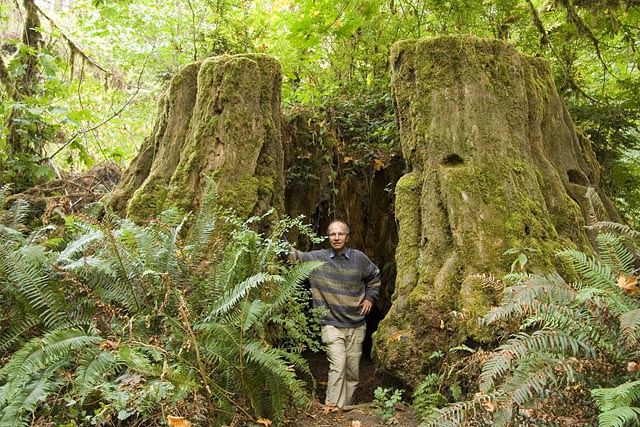Hutje in het bos? Hutje in het bos?