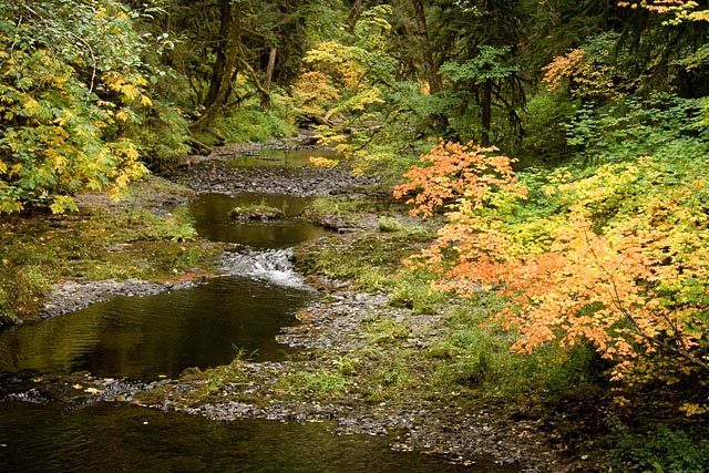Herfst in Silver Falls State Park Herfst in Silver Falls State Park