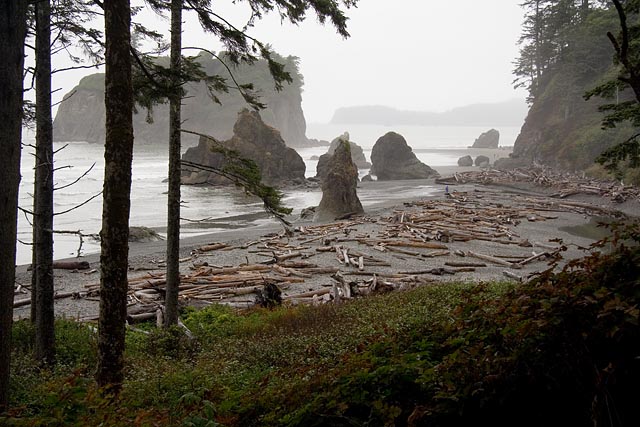 Olympic National Park - Ruby Beach, bij Kalaloch Olympic National Park - Ruby Beach, bij Kalaloch