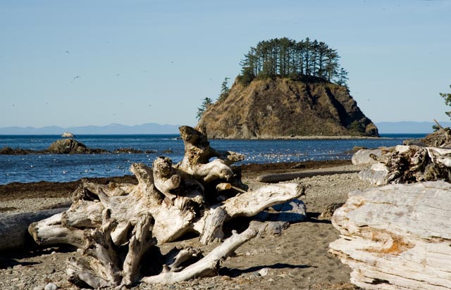 Olympic National Park - Cape Alava Olympic National Park - Cape Alava