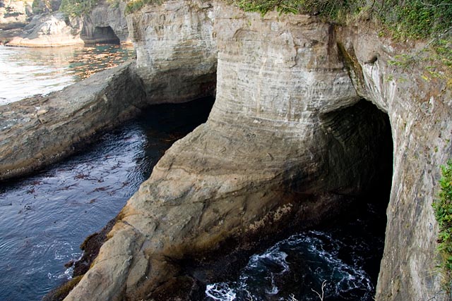 Cape Flattery Cape Flattery