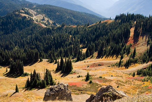 Olympic National Park - Hurricane Ridge Olympic National Park - Hurricane Ridge