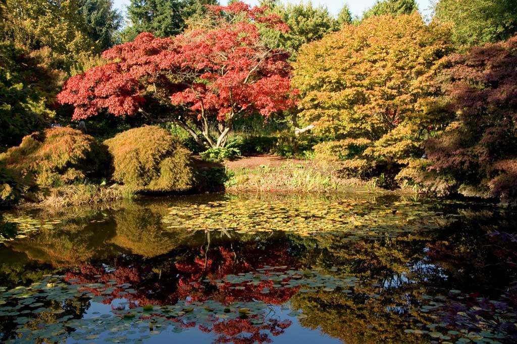 vanDusen Park Vancouver vanDusen Park Vancouver