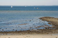 3153.jpg Oosterschelde
