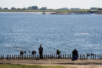 3164.jpg Duikers in de Oosterschelde
