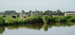 6754.jpg Tjerkwerd
